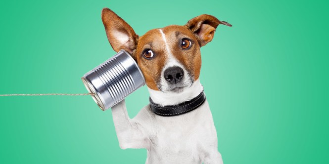 working-on-listening-skills